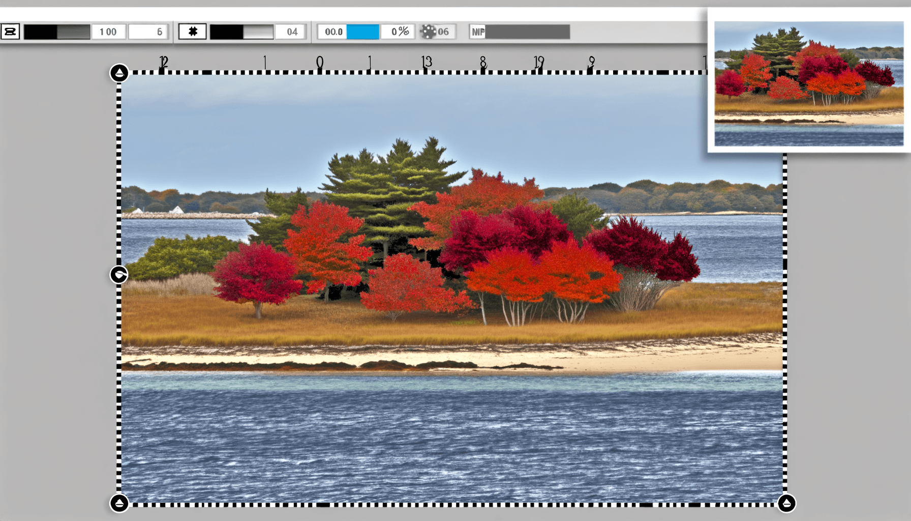 Fall foliage colors on island trees