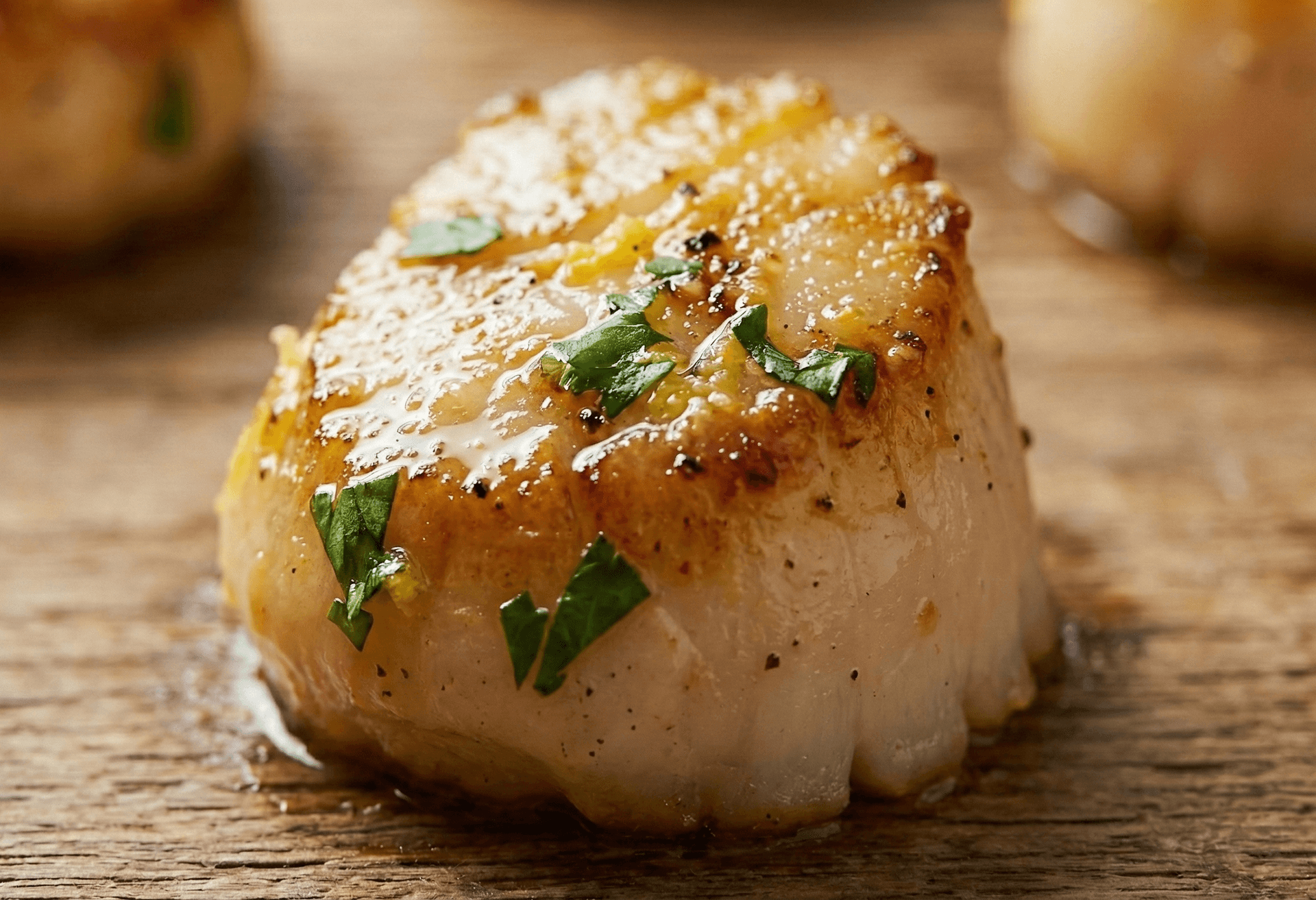 Fresh Nantucket bay scallops up close